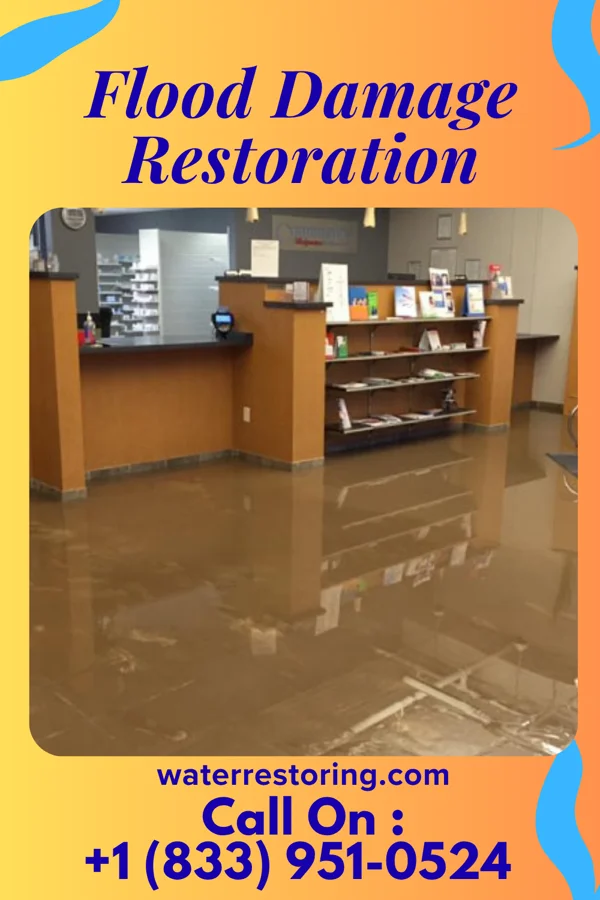 Flood Damage Restoration in Wagener, SC