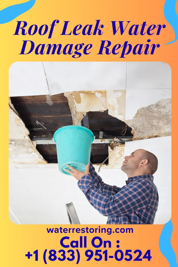 Roof Leak Water Damage Repair in Wagener, SC